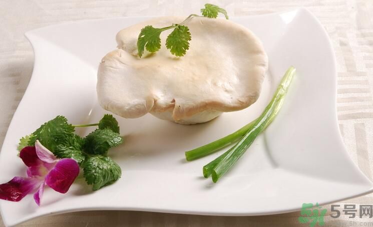 白靈菇和杏鮑菇有什么區(qū)別？白靈菇有什么營養(yǎng)價值？