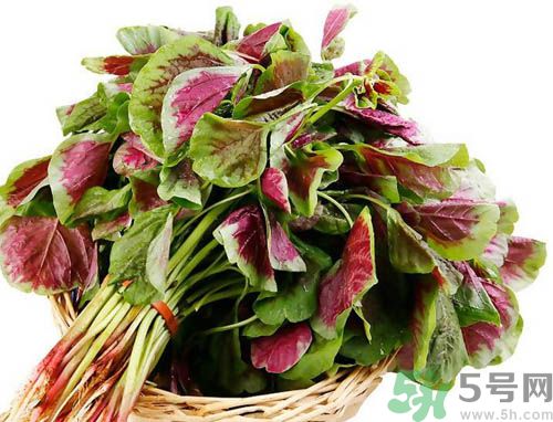 補(bǔ)血吃什么蔬菜好？吃什么蔬菜可以補(bǔ)血？