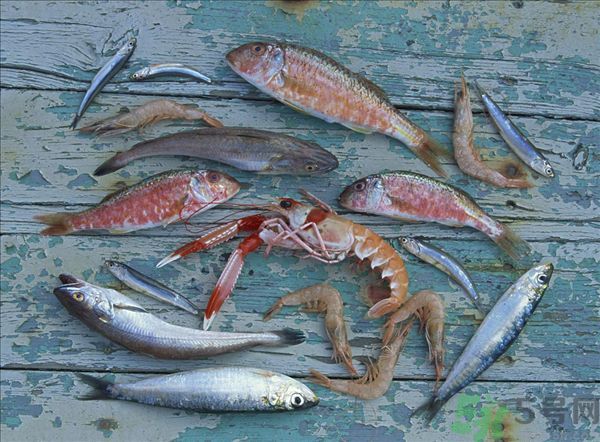 死蝦被稱腦死亡 死蝦吃了會怎么樣？