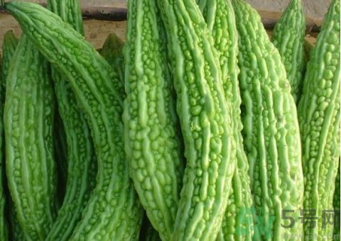 苦瓜的皮可以吃嗎？苦瓜要不要削皮？