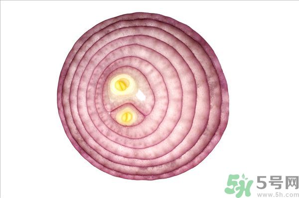 吃洋蔥上火嗎？吃洋蔥會上火嗎？