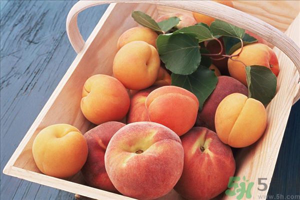 吃桃子會脹氣嗎？吃桃子注意事項有哪些？