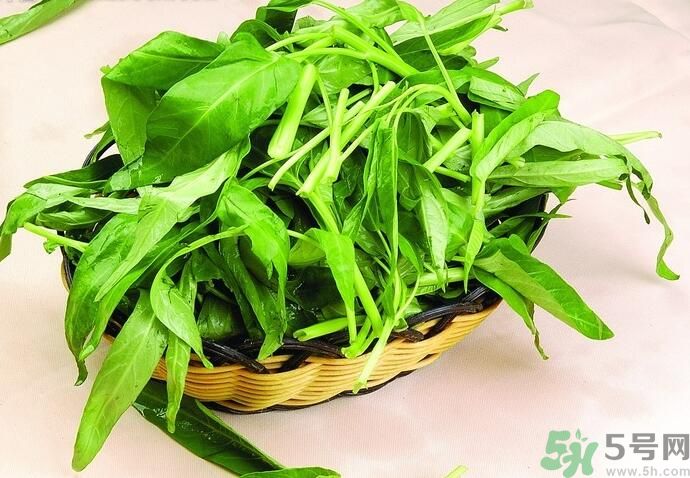 空心菜有什么功效？空心菜的功效是什么？