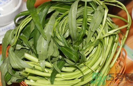 空心菜吃葉子還是吃桿？空心菜吃葉子好嗎？