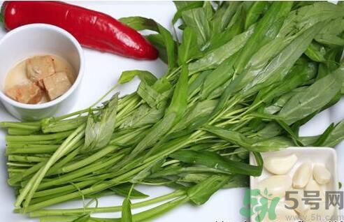 空心菜吃葉子還是吃桿？空心菜吃葉子好嗎？