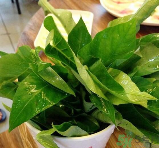 空心菜泡水了還能吃嗎？泡水的空心菜可以吃嗎？