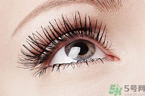 眉毛淡是種怎樣的體驗？眉毛淡是什么原因？