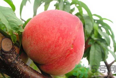 吃桃子怎么去毛？吃桃子有什么技巧？