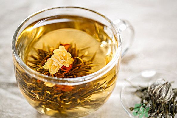 茉莉花綠茶加苦瓜能減肥嗎？茉莉花和苦瓜泡水喝嗎？