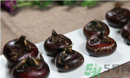 荸薺是寒性還是熱性？荸薺是寒性嗎？