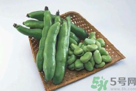 蠶豆是熱性還是涼性？蠶豆是熱性的嗎？