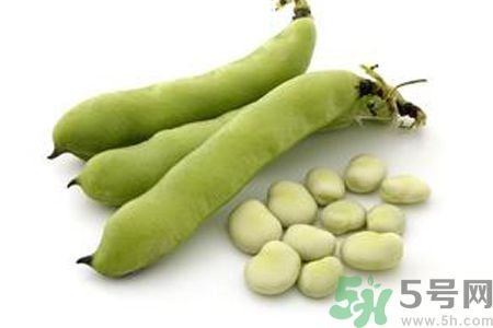 寶寶可以吃蠶豆嗎？寶寶多大可以吃蠶豆？