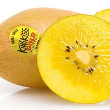 黃心獼猴桃和綠心獼猴桃哪個好？黃心獼猴桃和綠心獼猴桃有什么區(qū)別？