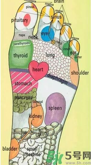 發(fā)燒可以吃洋蔥嗎？發(fā)燒能吃洋蔥嗎？