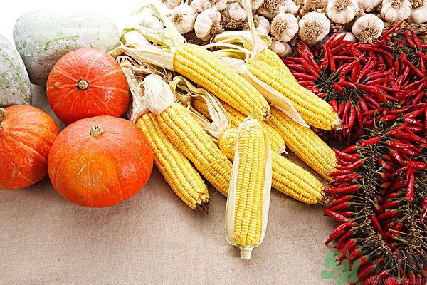 南瓜去水腫嗎？南瓜能消腫嗎？