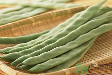 四季豆是發(fā)物嗎？四季豆是不是發(fā)物？