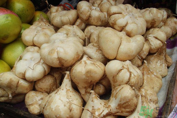 涼薯吃多了好嗎？地瓜吃多了會(huì)上火嗎？