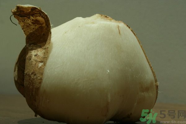 涼薯吃多了好嗎？地瓜吃多了會(huì)上火嗎？