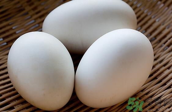 鵝蛋可以清火嗎？鵝蛋可以降火嗎？