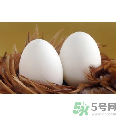 鵝蛋可以清火嗎？鵝蛋可以降火嗎？