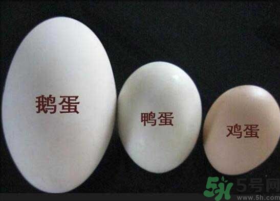 鵝蛋和鴨蛋哪個(gè)好？鵝蛋和鴨蛋哪個(gè)清火效果好？