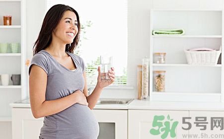 孕婦可以喝菊花晶嗎？孕婦能喝菊花