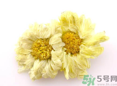 菊花晶能喝綠豆湯一起喝嗎？菊花晶和綠豆湯可以一起喝嗎？