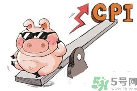 豬肉價格為什么驚動世界？豬肉價格一直上漲的原因是什么？