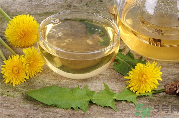 蒲公英泡茶有什么功效？蒲公英泡茶的功效是什么？