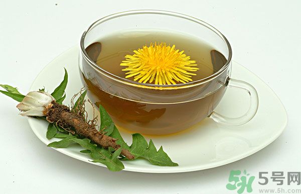 蒲公英根泡茶好還是蒲公英葉泡茶好？蒲公英根和葉哪個效果好？