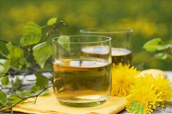 蒲公英泡水喝有副作用嗎？蒲公英泡水喝要注意什么？