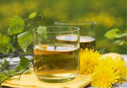 蒲公英泡水喝有副作用嗎？蒲公英泡水喝要注意什么？