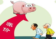 豬肉價(jià)格為什么驚動(dòng)世界？豬肉價(jià)格一直上漲的原因是什么？