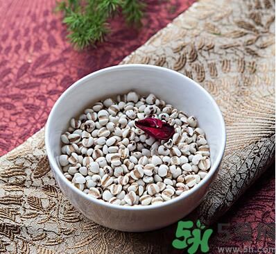 夏天吃薏米好嗎？夏天吃薏米有什么好處？