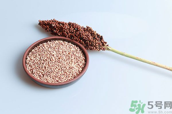 夏天吃高粱好嗎？夏天吃高粱有什么好處？