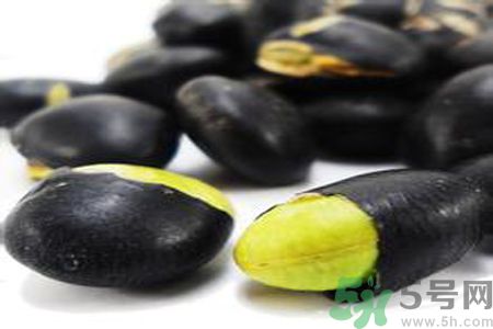 黑豆黑豆芽 黑豆黑豆芽