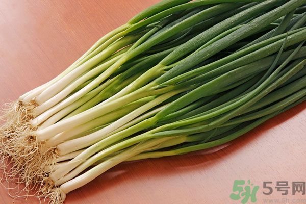 夏天上火能吃蔥嗎？夏天吃蔥會(huì)不會(huì)上火？