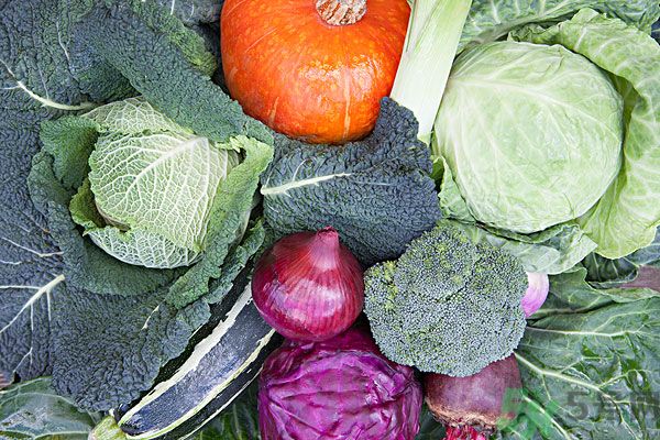 夏天吃什么蔬菜對身體好？什么蔬菜適合夏天吃？