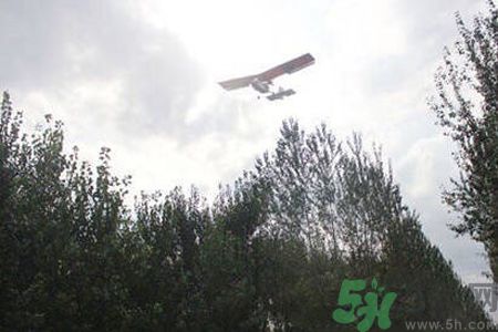 為什么15-25號(hào)不要曬被子？什么是美國(guó)白蛾？