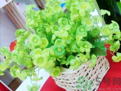 90后姑娘爆改出租屋走紅 出租屋怎么裝飾？