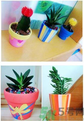 90后姑娘爆改出租屋走紅 出租屋怎么裝飾？