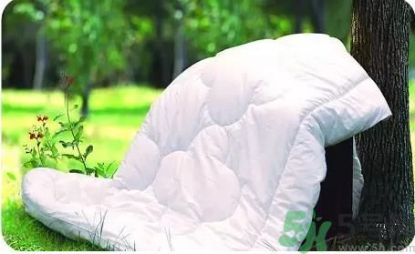 15-25號(hào)不要曬被子是怎么回事？白蛾是什么害蟲(chóng)？