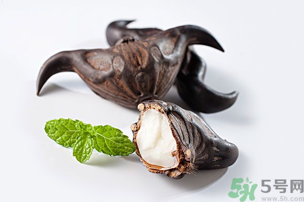 寶寶可以吃菱角嗎？寶寶多大可以吃菱角？