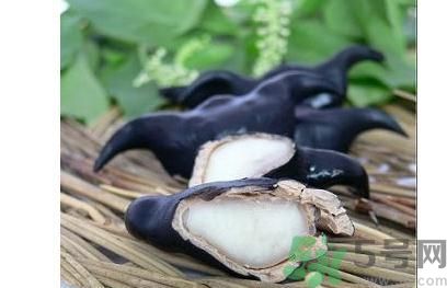 菱角怎么剝完整？菱角剝不開怎么辦？