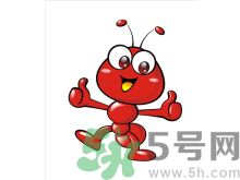 家里有螞蟻怎么辦？驅(qū)除螞蟻的方法是什么？