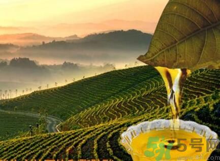 茶籽油可以天天吃嗎？可以每天用茶籽油炒菜嗎？