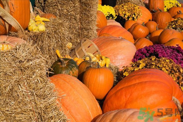 南瓜同魚(yú)能一起吃嗎？南瓜和魚(yú)一起吃好嗎？