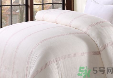 蠶絲被和棉花被哪個好?蠶絲被和棉花被的區(qū)別