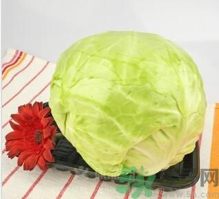 包菜是涼性的嗎？包菜是涼性還是熱性的？