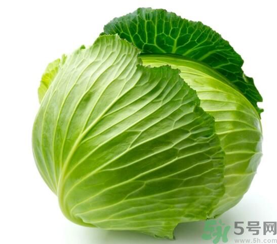 包菜是涼性的嗎？包菜是涼性還是熱性的？